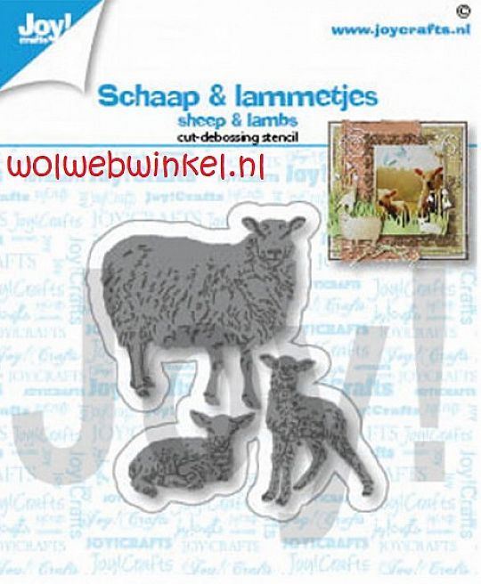 Joy-Schaap-en-lammetjes-1593101127.jpg