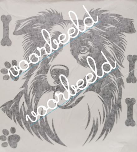 bordercollie-1-1742807126.jpg